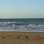 In Near The نيوبورت