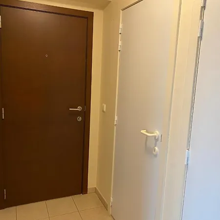 In Near The 公寓 *