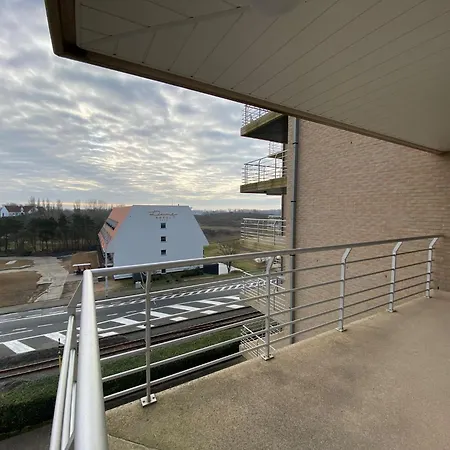 In Near The 尼乌波特