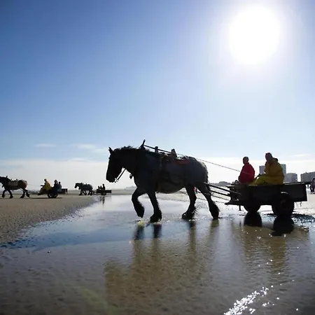 In Near The Apartament