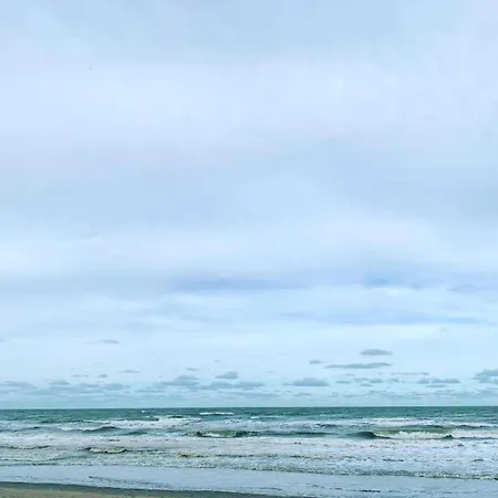 公寓 In Near The 尼乌波特