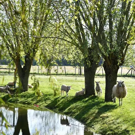 公寓 In Near The *