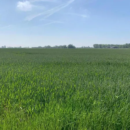 In Near The Διαμέρισμα Nieuwpoort