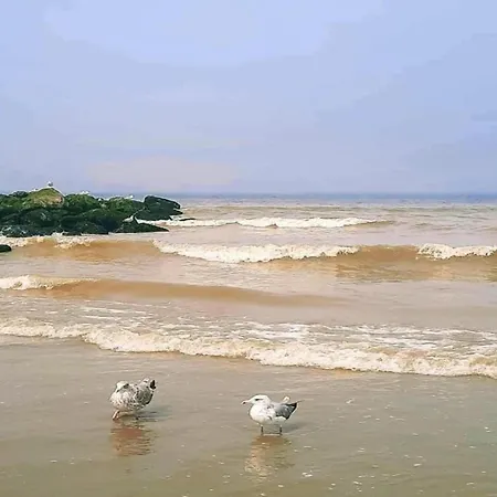 公寓 In Near The *