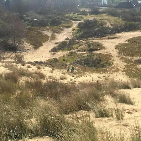 In Near The 尼乌波特